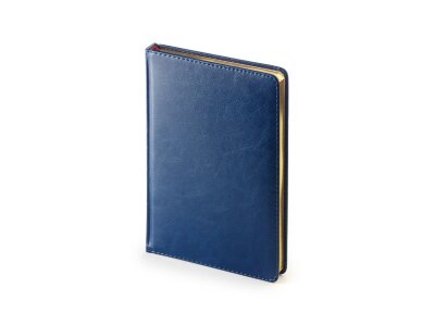 Подарочный набор Parker: Шариковая Ручка Parker Jotter Essential, Royal Blue CT и Ежедневник 195_3_128043186