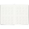 Подарочный набор Parker: Ручка Parker Jotter XL SE20 Monochrome Pink Gold и Ежедневник 212_11105302755