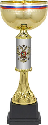 6994-200 Кубок Артек