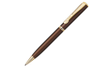 Шариковая ручка Pierre Cardin ECO коричневый PC0866BP