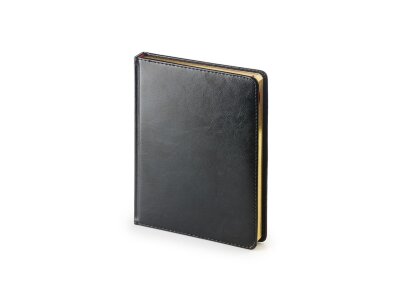 Подарочный набор Parker: Шариковая Ручка Parker Jotter Russia Steel GT и Ежедневник 212349_6026175