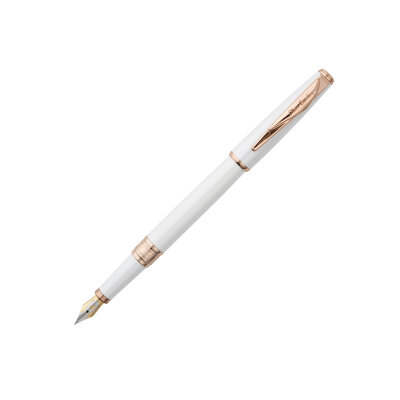 Ручка перьевая Pierre Cardin SECRET Business PCA1061FP
