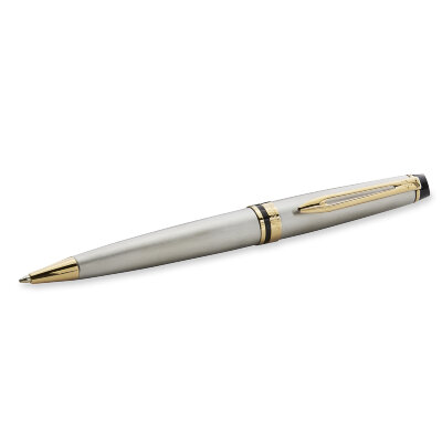 Шариковая ручка Waterman Expert Stainless Steal GT S0952000