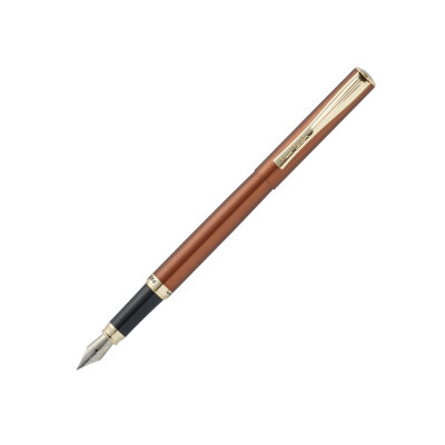 Перьевая Ручка Pierre Cardin ECO PC0866FP