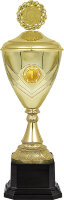 5849-000 Кубок Лестр 1,2,3 место